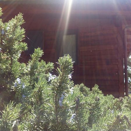 Azienda Agricola Biologica La Cardellina Tolfa Bagian luar foto