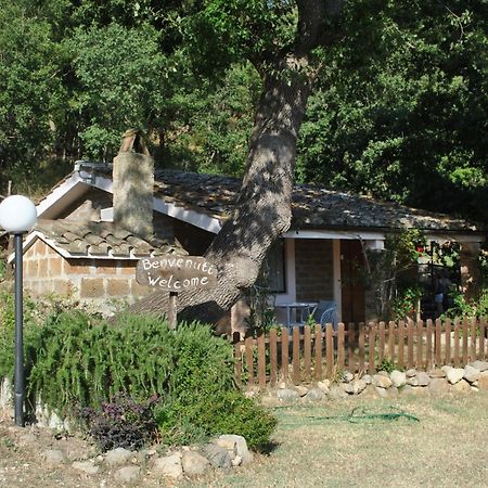 Azienda Agricola Biologica La Cardellina Tolfa Bagian luar foto