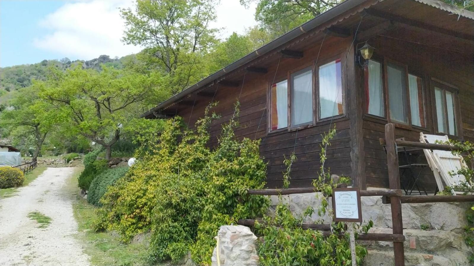 Azienda Agricola Biologica La Cardellina Tolfa Bagian luar foto
