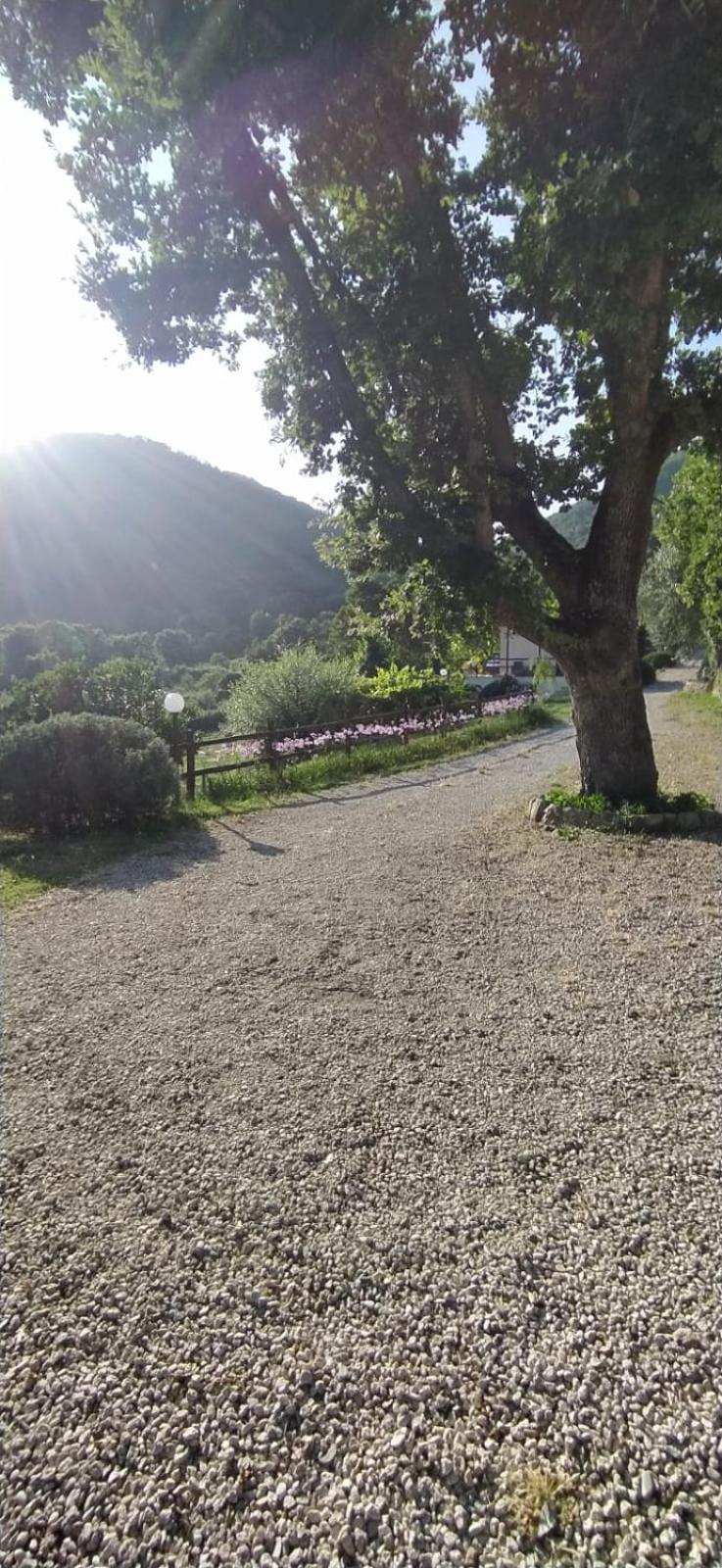 Azienda Agricola Biologica La Cardellina Tolfa Bagian luar foto