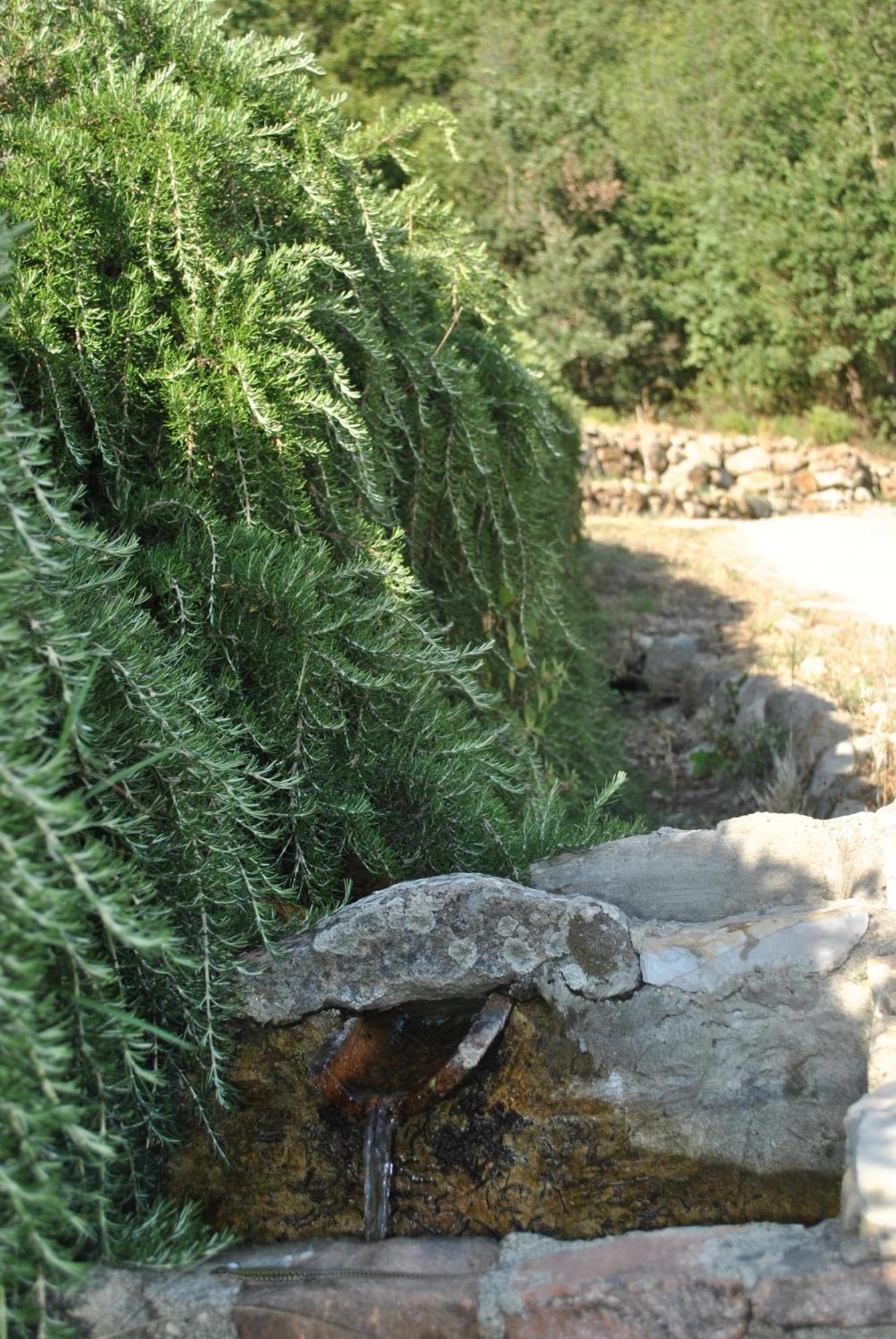 Azienda Agricola Biologica La Cardellina Tolfa Bagian luar foto