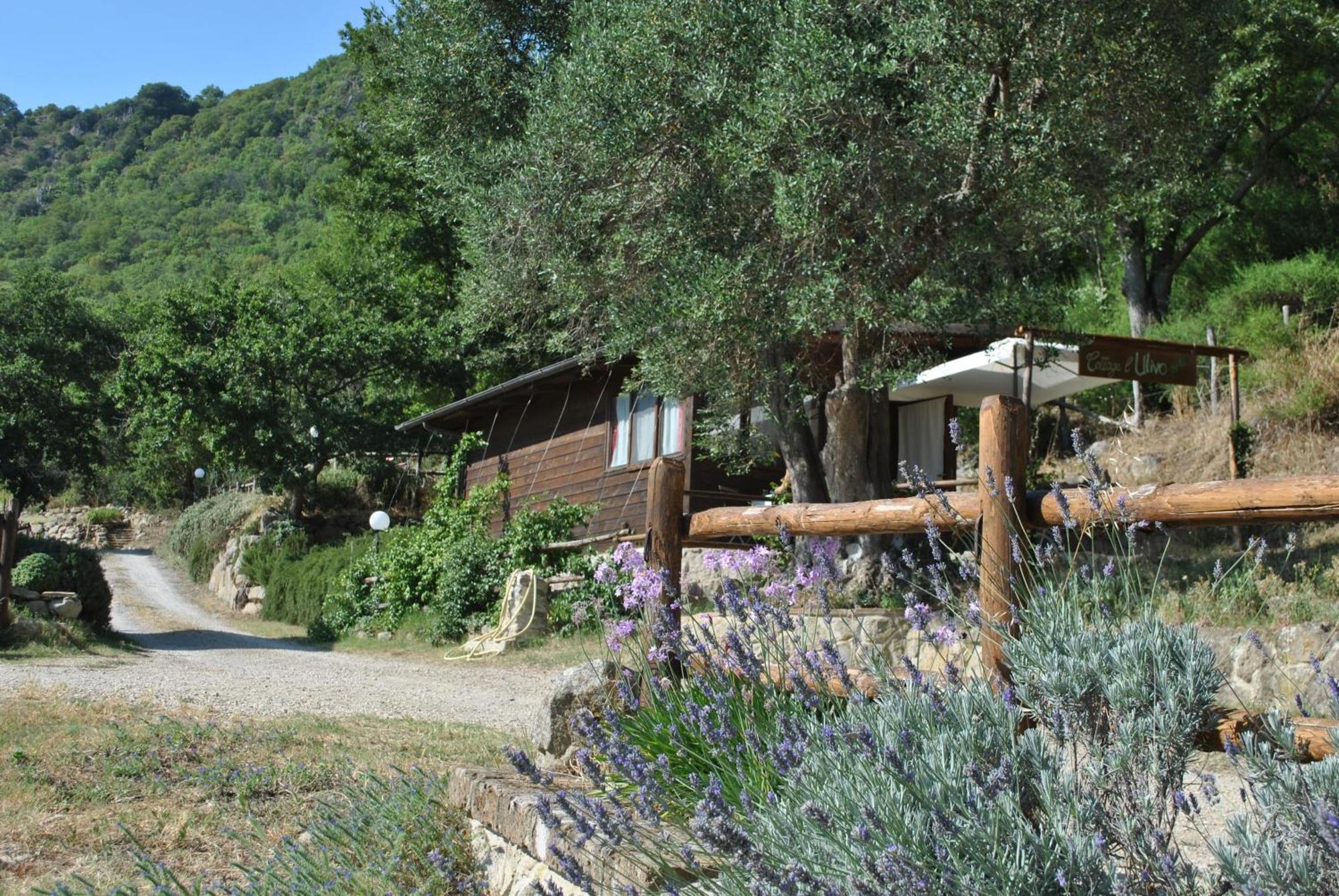 Azienda Agricola Biologica La Cardellina Tolfa Bagian luar foto