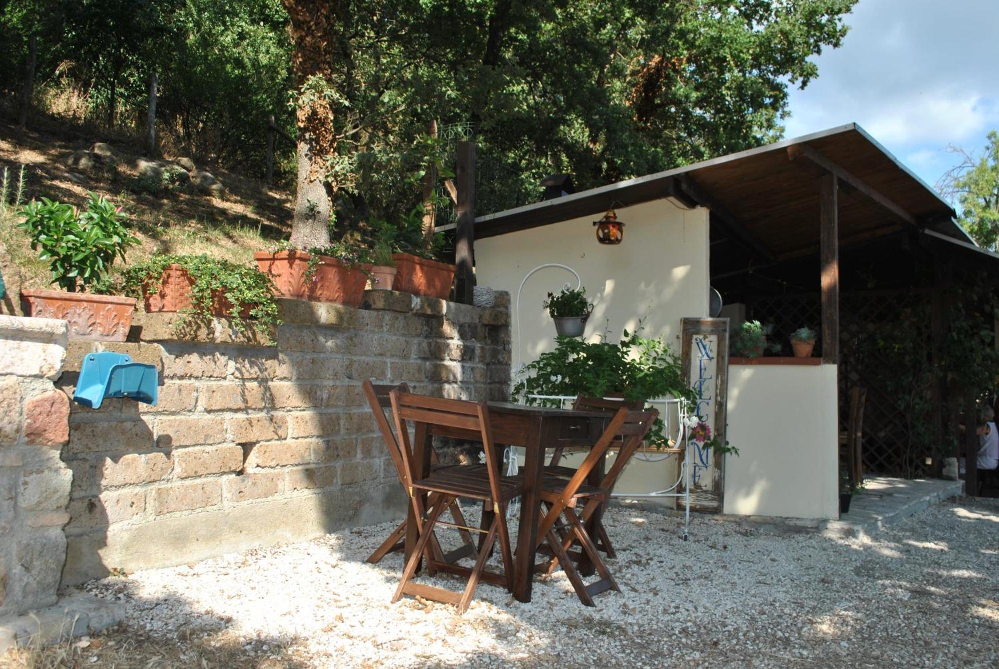 Azienda Agricola Biologica La Cardellina Tolfa Bagian luar foto