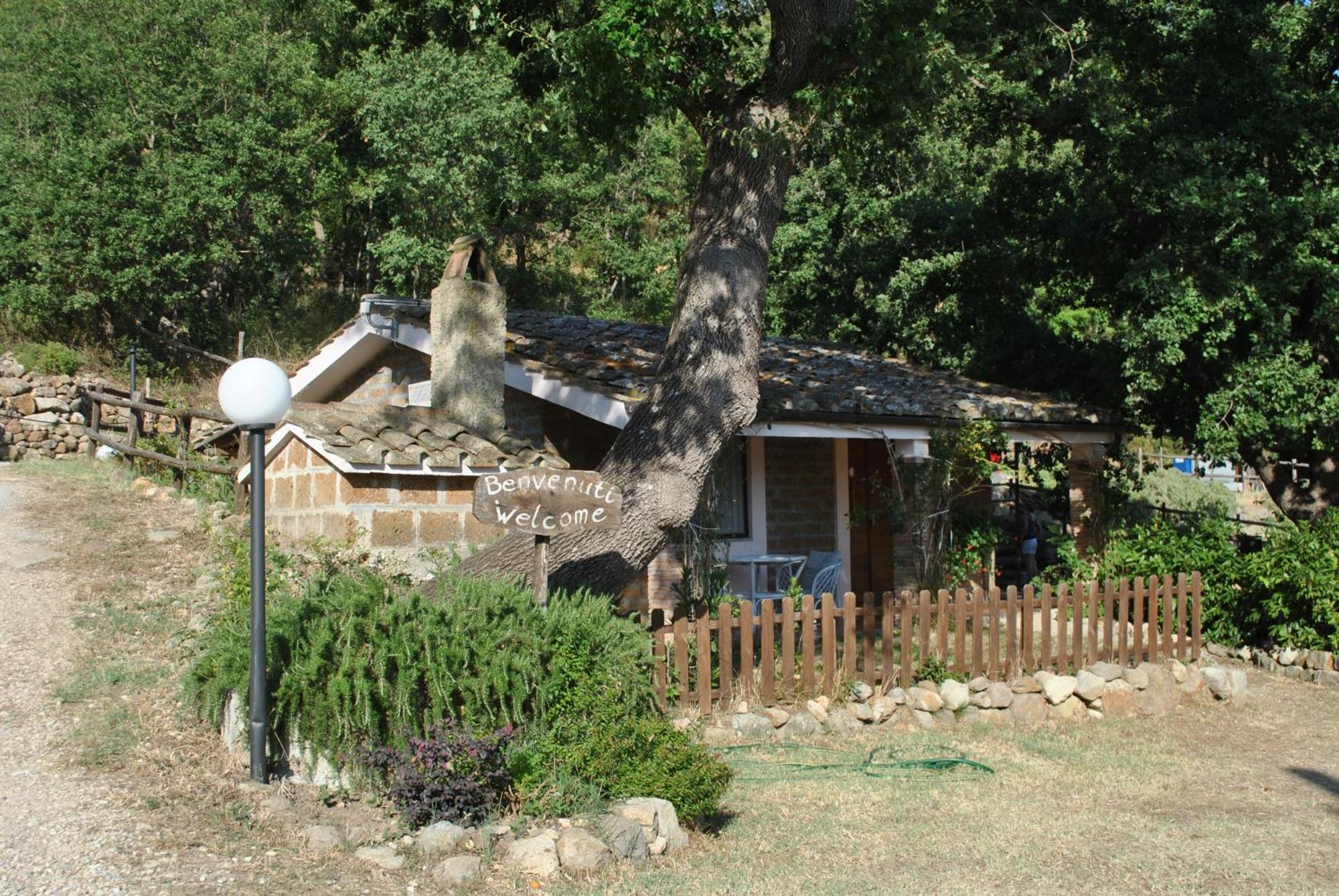 Azienda Agricola Biologica La Cardellina Tolfa Bagian luar foto