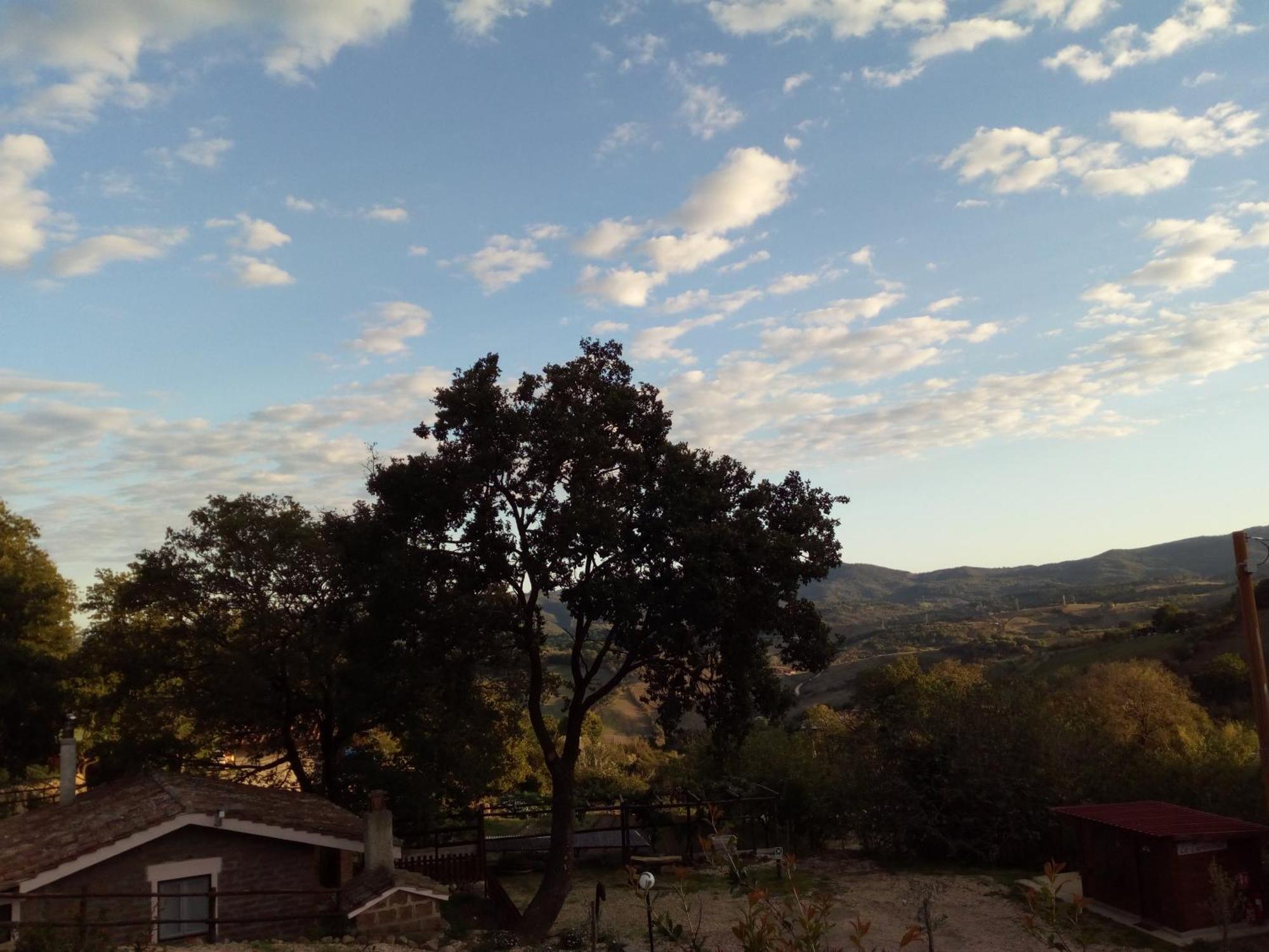Azienda Agricola Biologica La Cardellina Tolfa Bagian luar foto