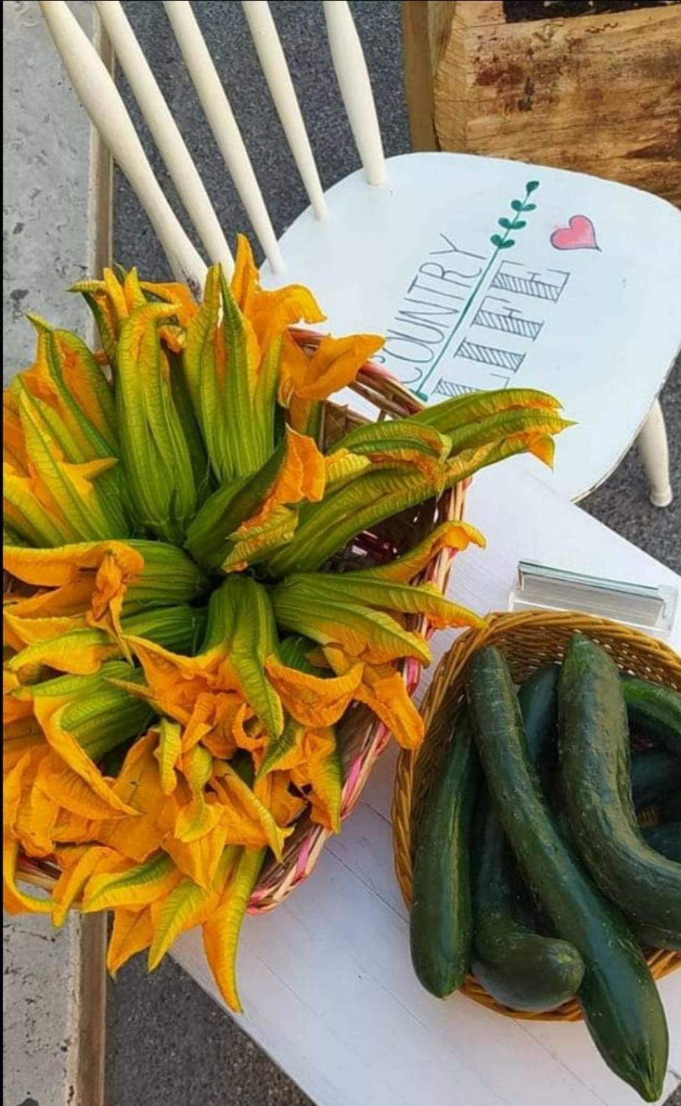 Azienda Agricola Biologica La Cardellina Tolfa Bagian luar foto