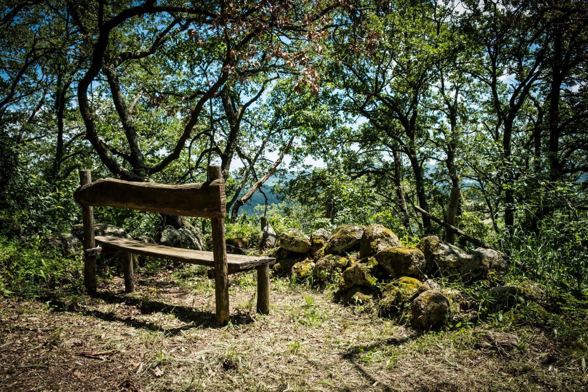 Azienda Agricola Biologica La Cardellina Tolfa Bagian luar foto