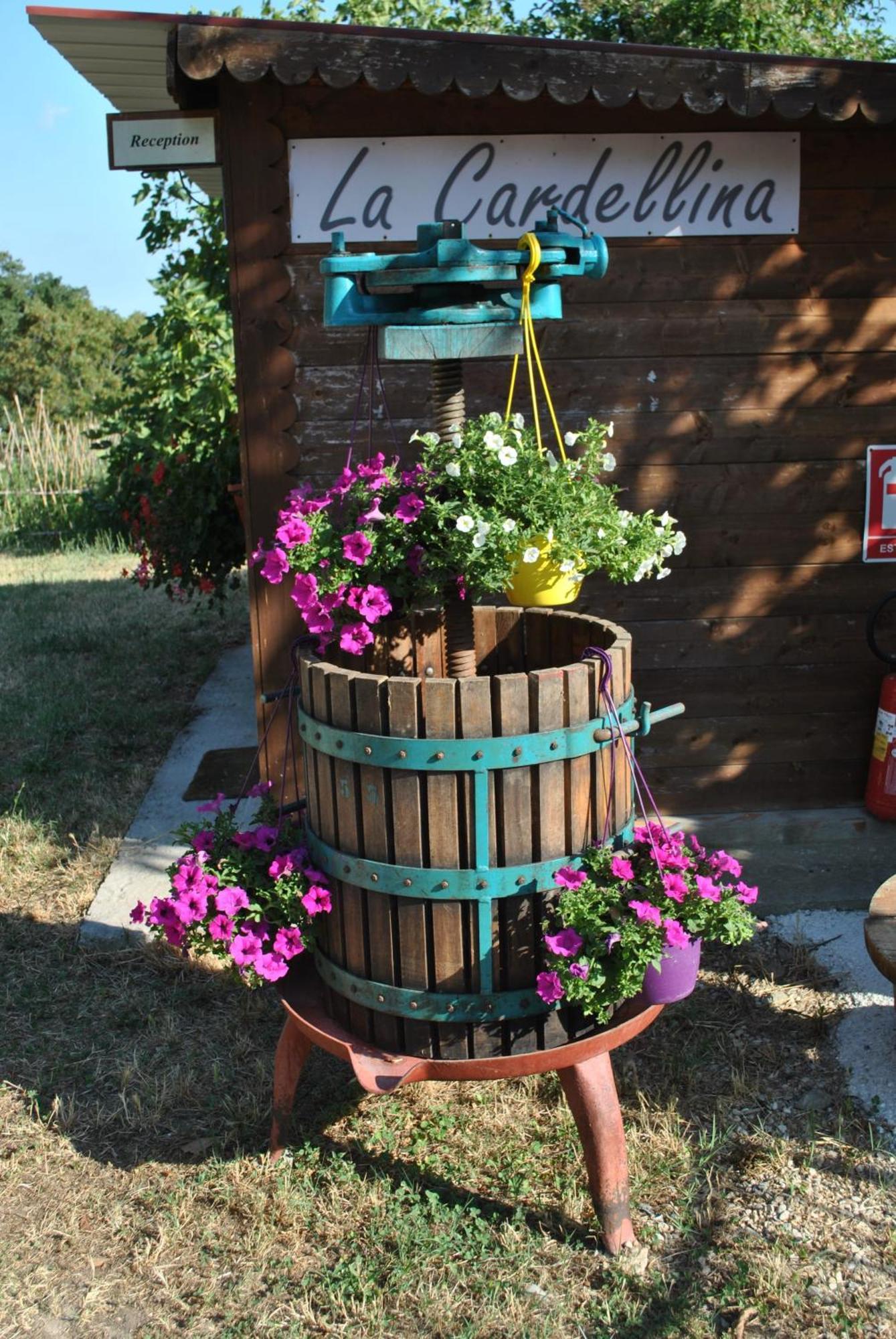 Azienda Agricola Biologica La Cardellina Tolfa Bagian luar foto