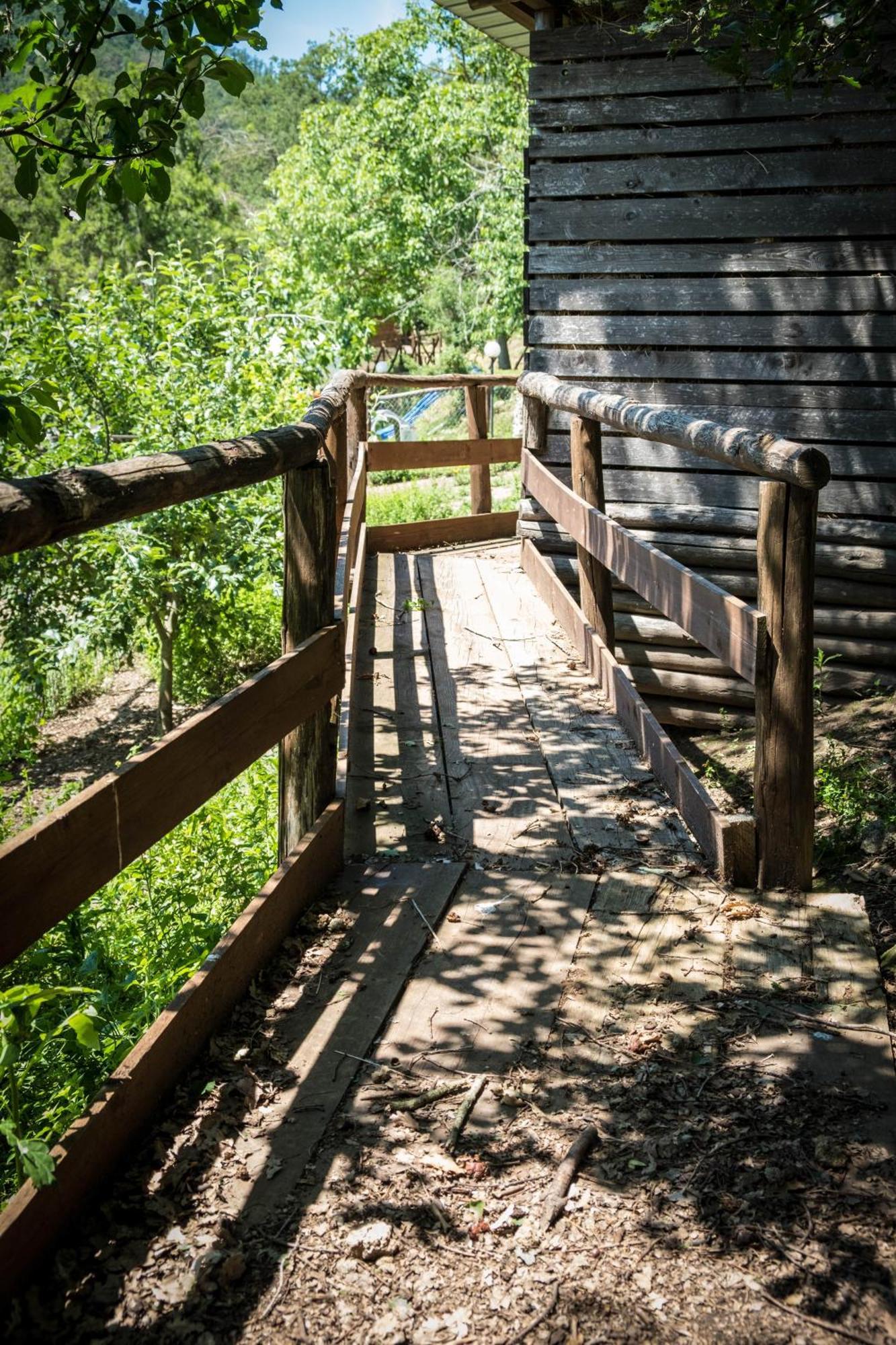 Azienda Agricola Biologica La Cardellina Tolfa Bagian luar foto