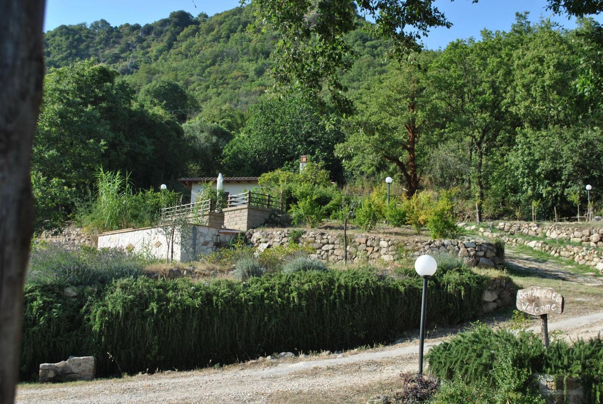 Azienda Agricola Biologica La Cardellina Tolfa Bagian luar foto