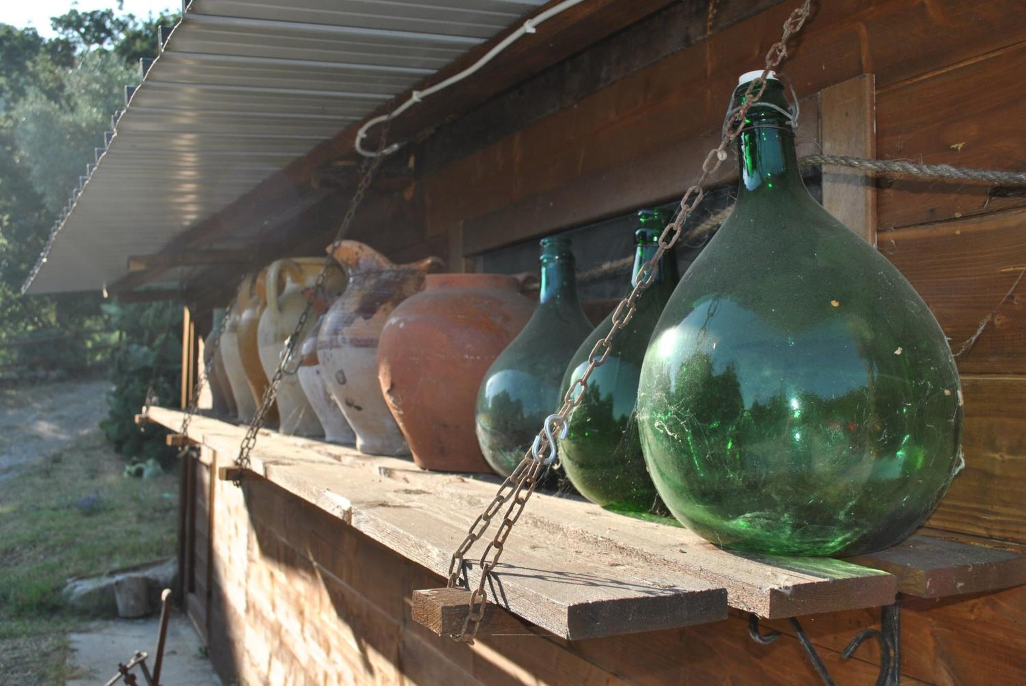 Azienda Agricola Biologica La Cardellina Tolfa Bagian luar foto