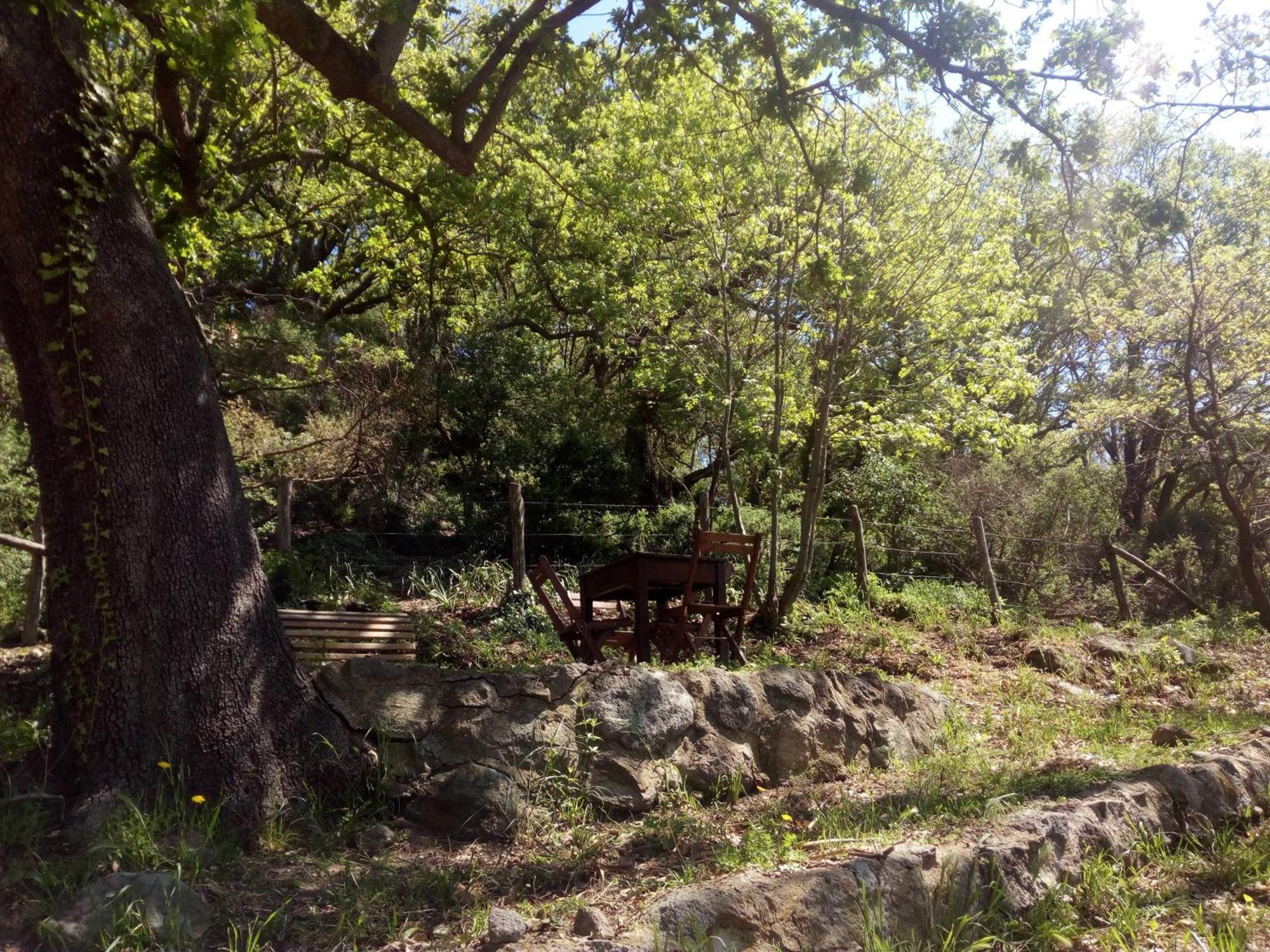 Azienda Agricola Biologica La Cardellina Tolfa Bagian luar foto