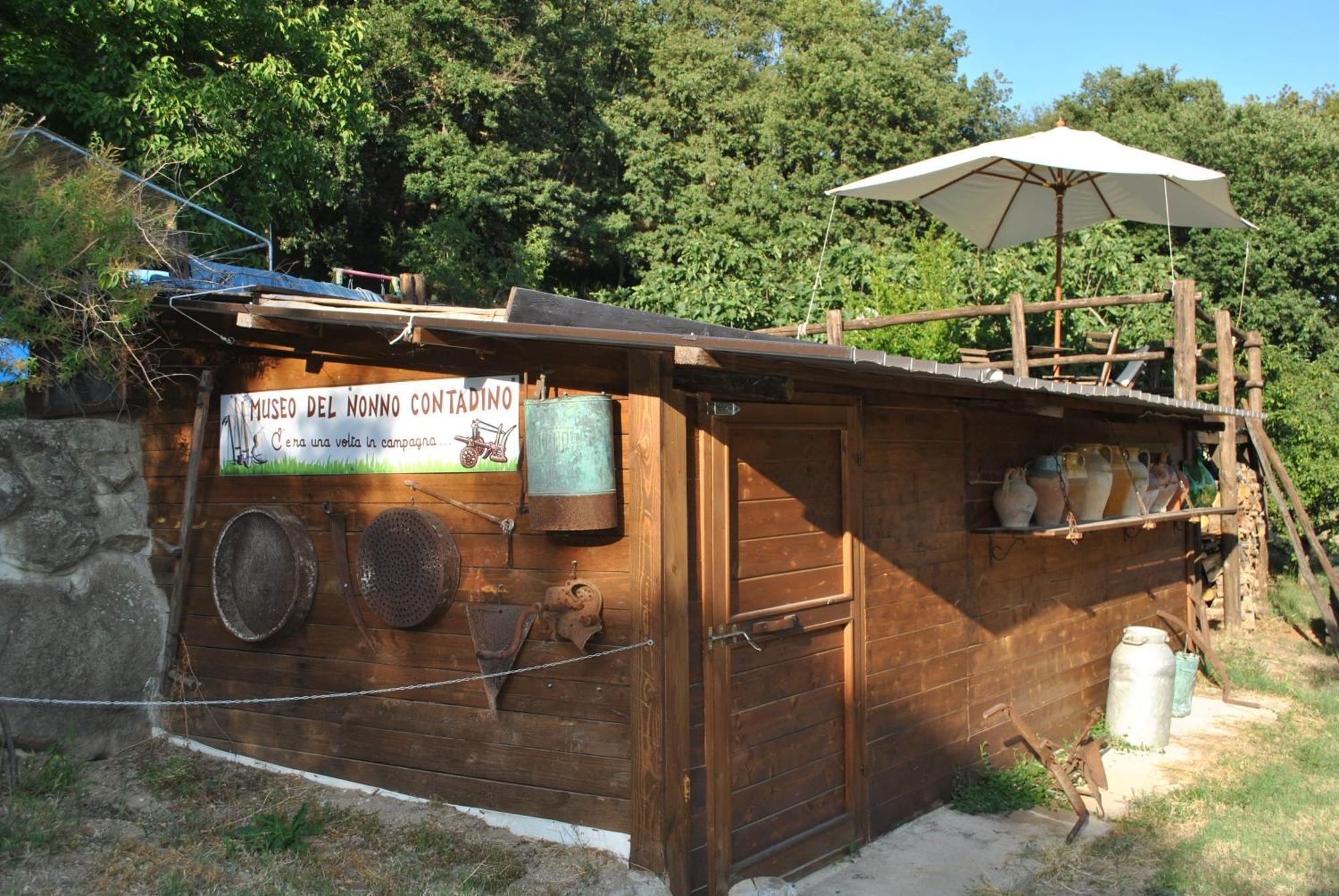 Azienda Agricola Biologica La Cardellina Tolfa Bagian luar foto