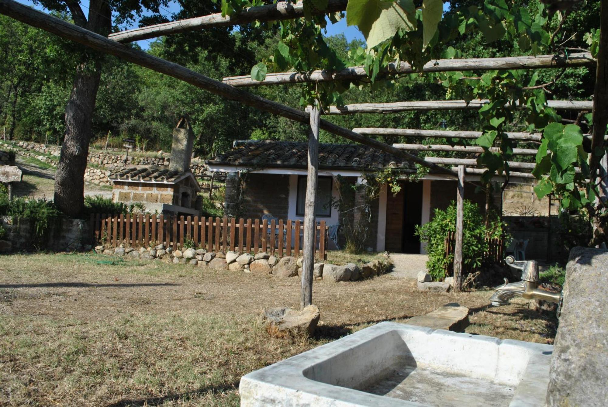 Azienda Agricola Biologica La Cardellina Tolfa Bagian luar foto