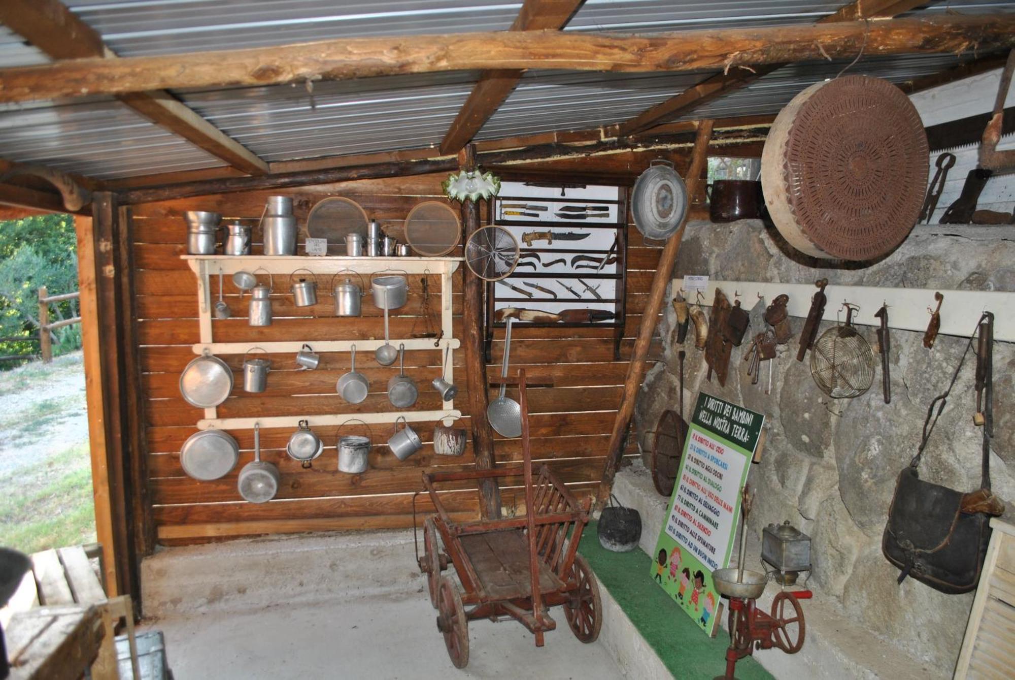 Azienda Agricola Biologica La Cardellina Tolfa Bagian luar foto
