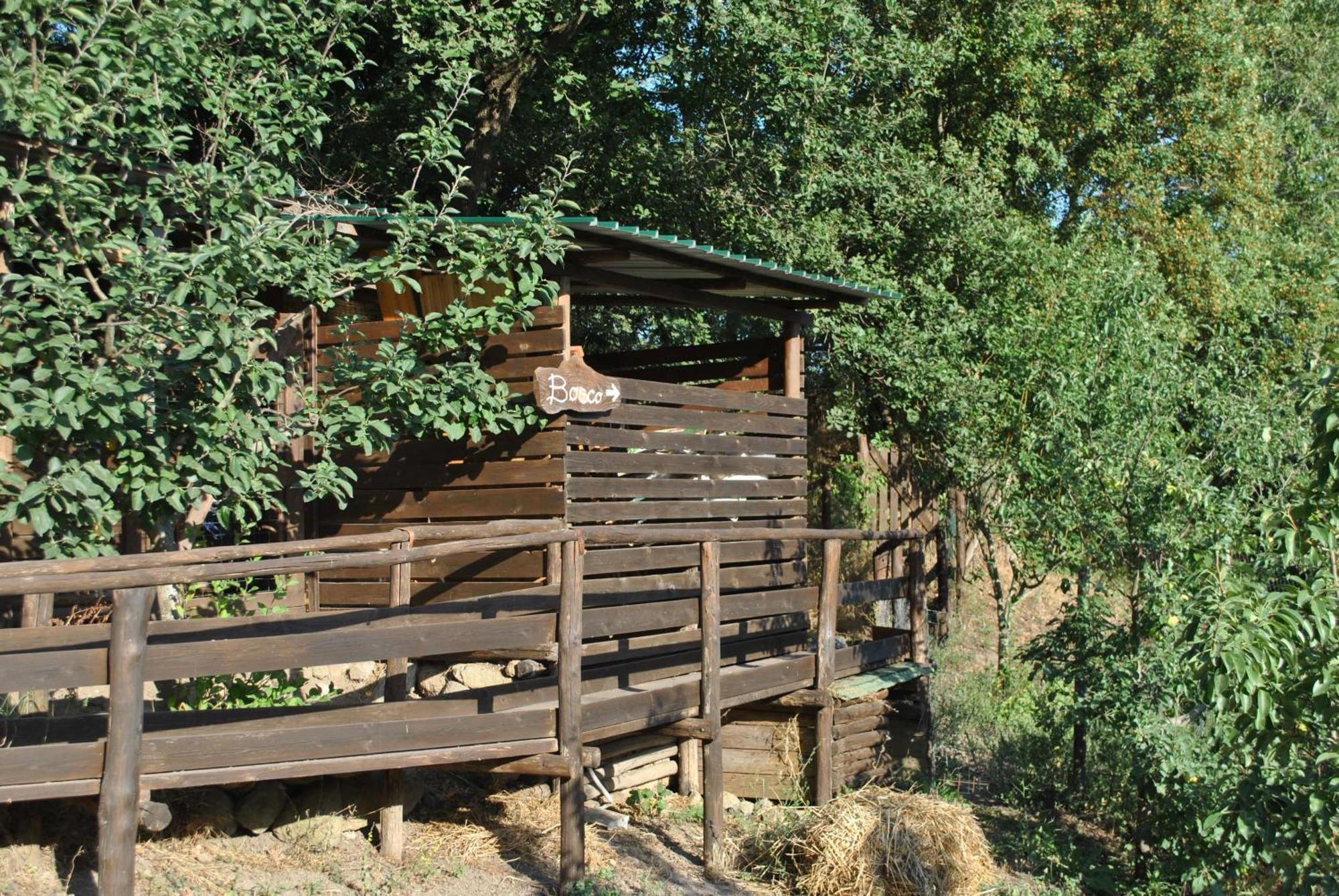 Azienda Agricola Biologica La Cardellina Tolfa Bagian luar foto