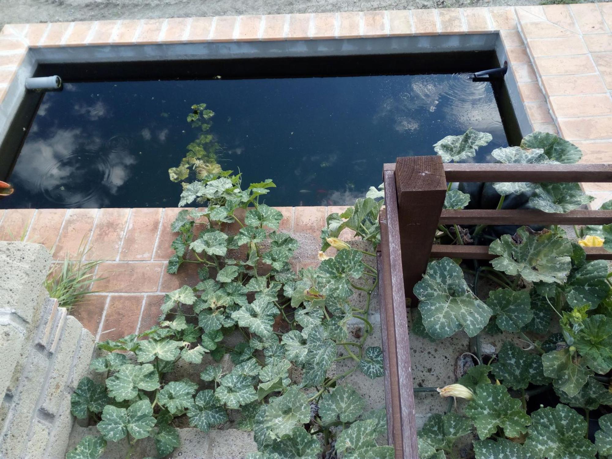Azienda Agricola Biologica La Cardellina Tolfa Bagian luar foto