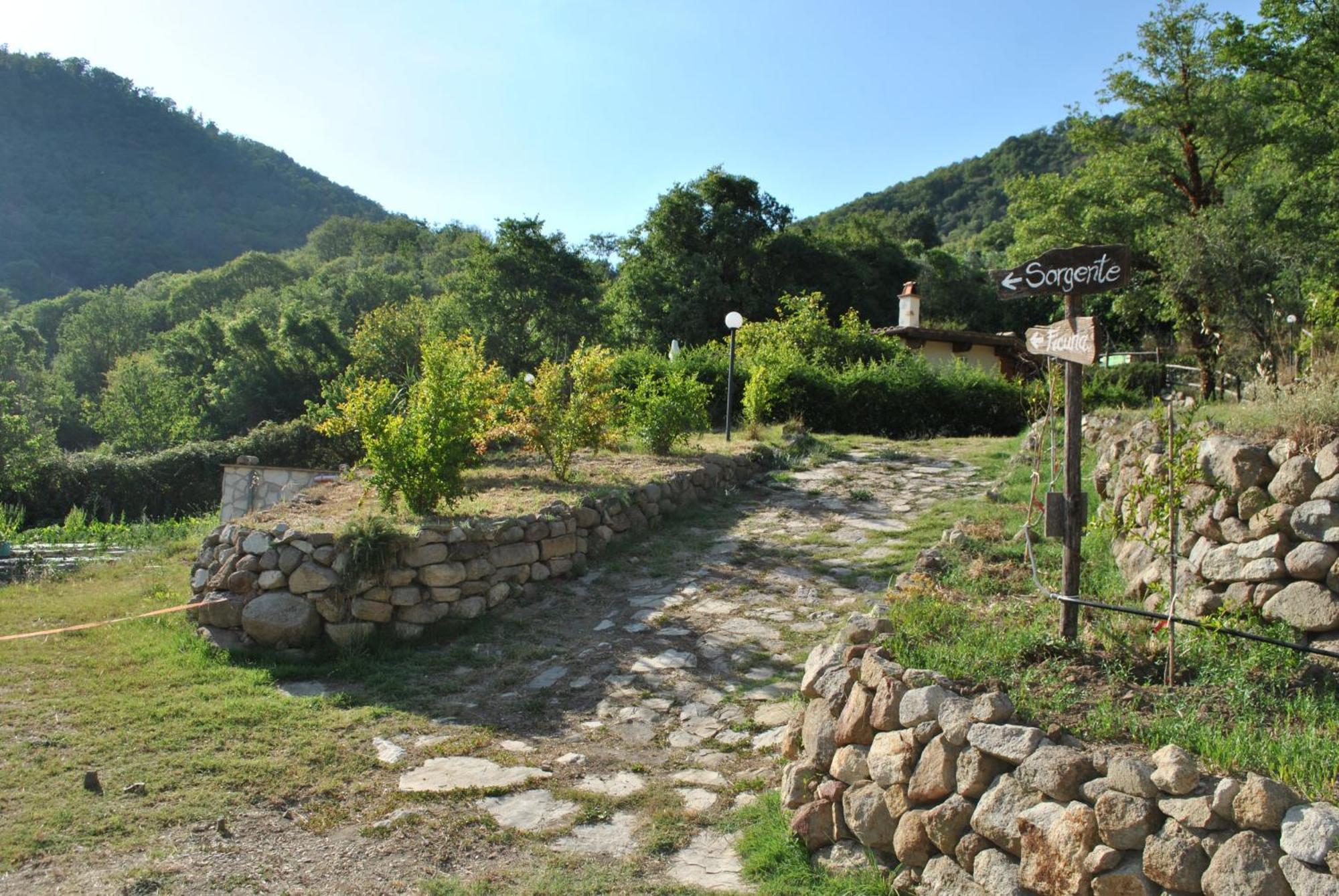 Azienda Agricola Biologica La Cardellina Tolfa Bagian luar foto